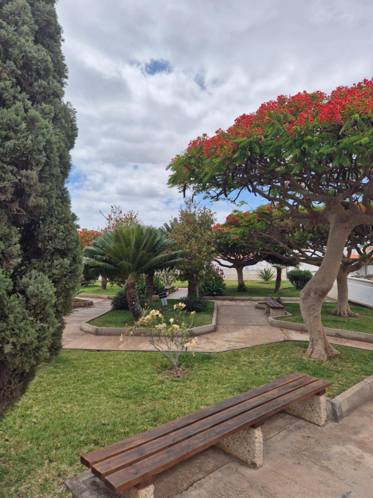 Bungalow Luna Privada Costa Del Silencio Dış mekan fotoğraf